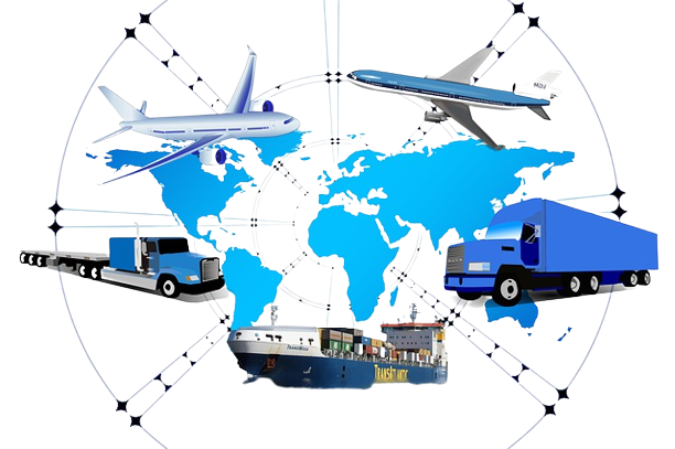 Transworld Shipping logistics team collaborating in a modern office